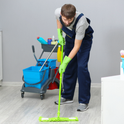 Toilet Bowl Cleaner