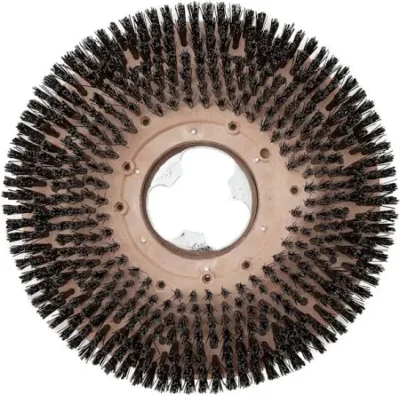 Hard Scrubbing Brush