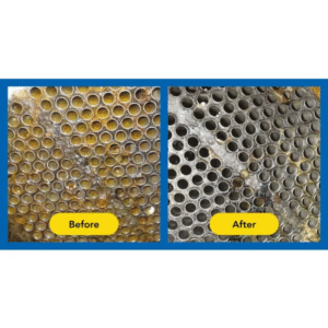 SCALE AWAY (Lime Scale Remover)